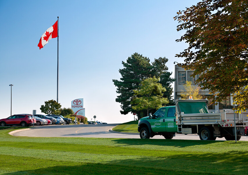 Clintar Landscaping Work