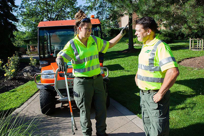 Clintar Landscaping Work
