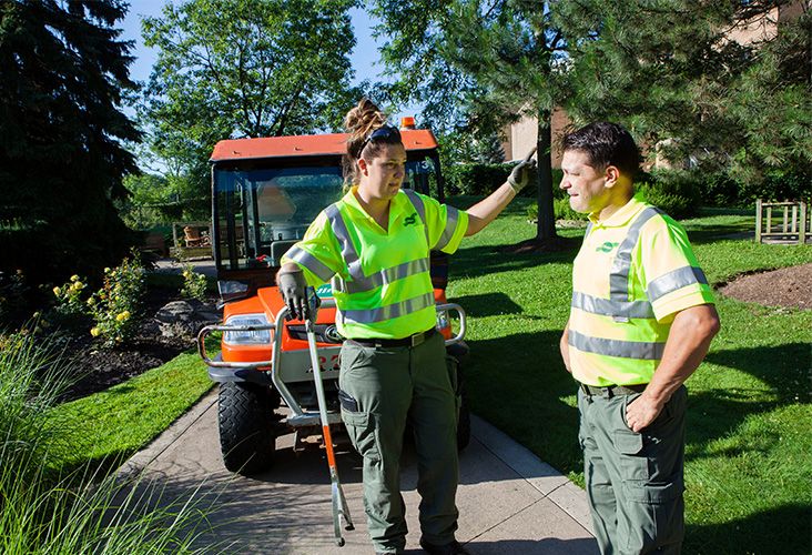 Clintar Landscaping Experience